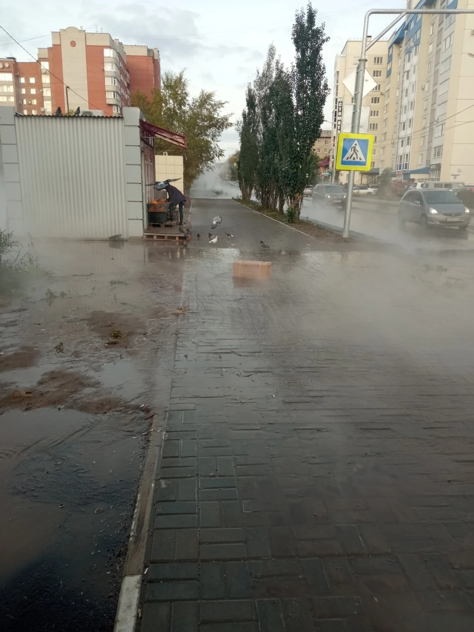 Весь район затянуло паром.