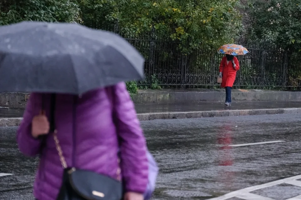 В Петербурге 25 сентября будет дождливый день.