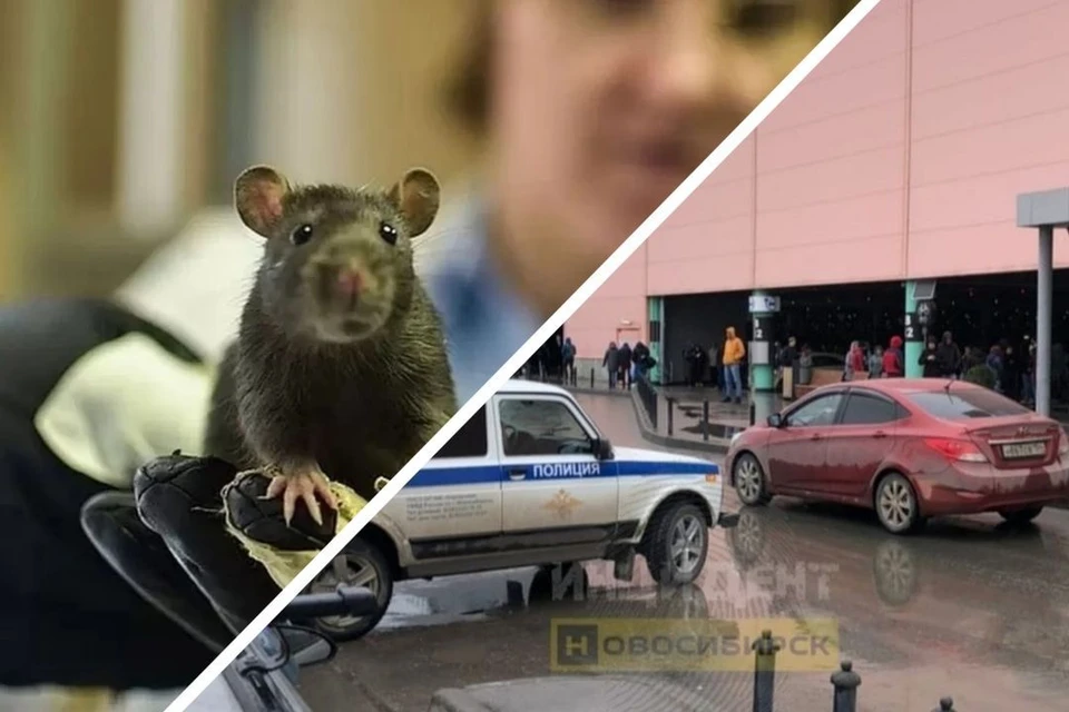 Последние новости на 27 сентября. Фото: Алена МАРТЫНОВА/"Инцидент Новосибирск"