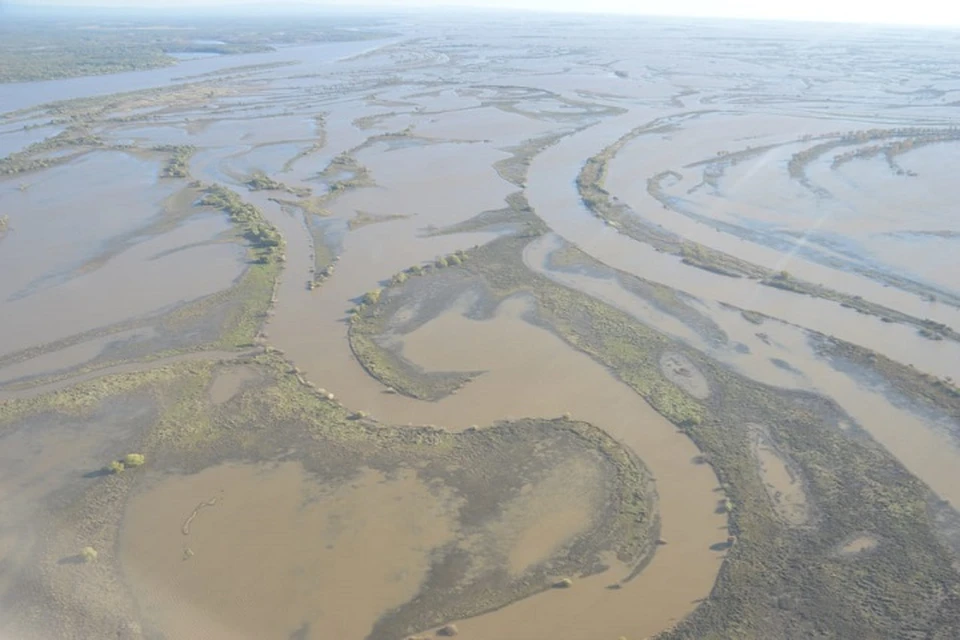 Экологическая катастрофа грозит реке Амур у Хабаровска