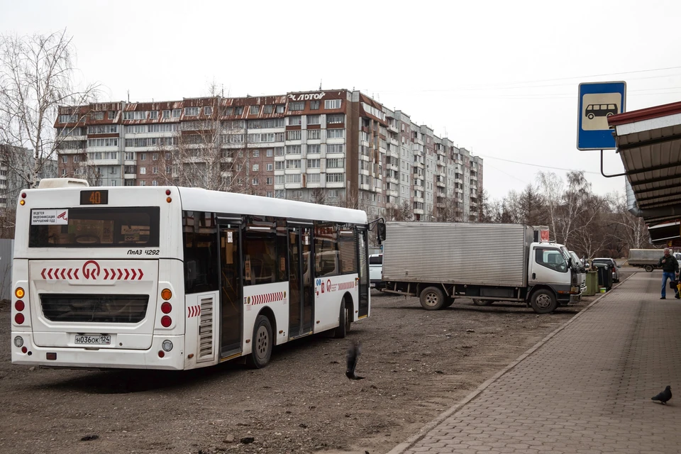 81 автобус красноярск. Автобус 31 Красноярск. Автобусы онлайн. Маршрут 63 автобуса Красноярск. 7 Маршрут Красноярск.