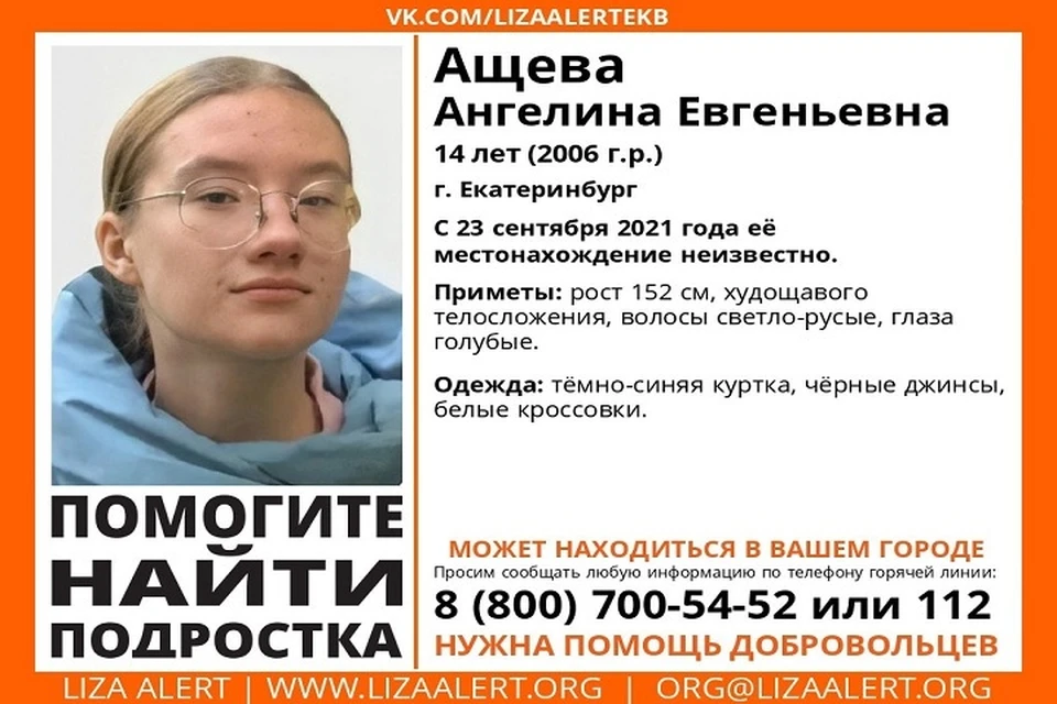 Фото: поисковый отряд "ЛизаАлерт"