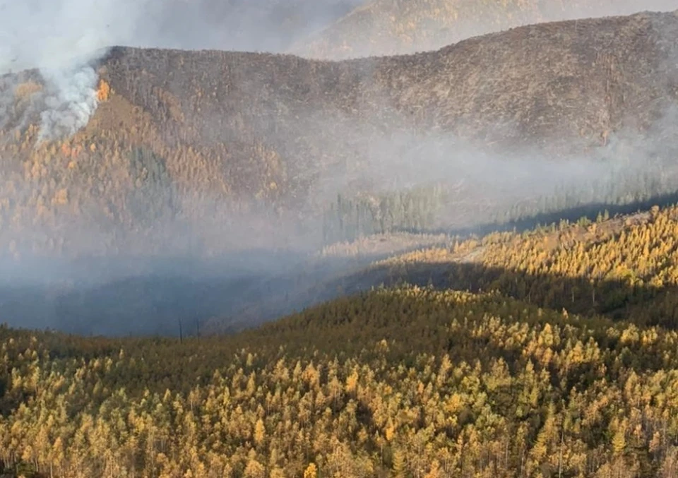 Лесной пожар в Солнечном районе Хабаровского края потушили