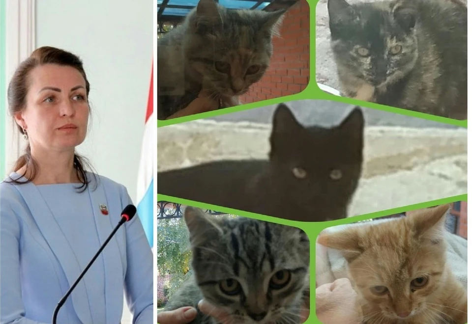 Оксана Фадина теперь может считаться покровительницей котиков – по крайней мере, этих пятерых.