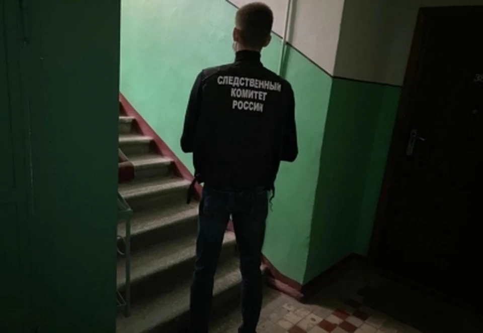 Место осмотрели сотрудники СК