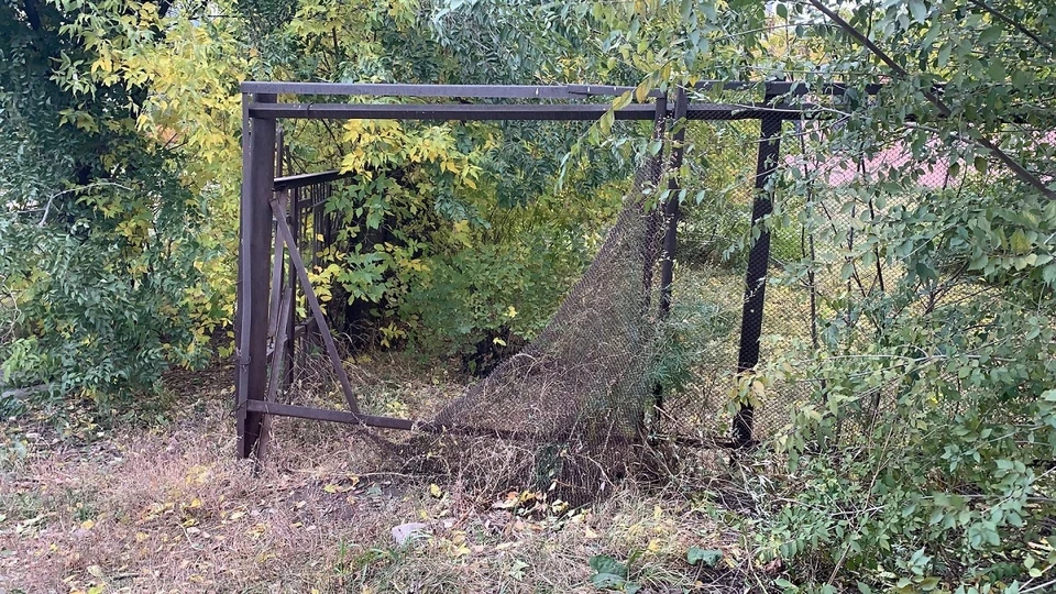 ОНФ в Челябинской области