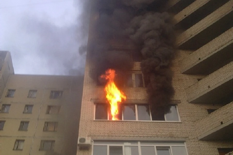 Квартира полыхает в доме на Софийской улице. Фото: vk.com/spb_today
