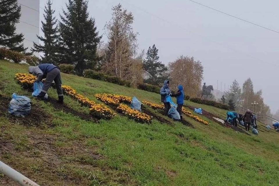Сезон цветения городских клумб завершился в Иркутске. Фото: администрация Иркутска