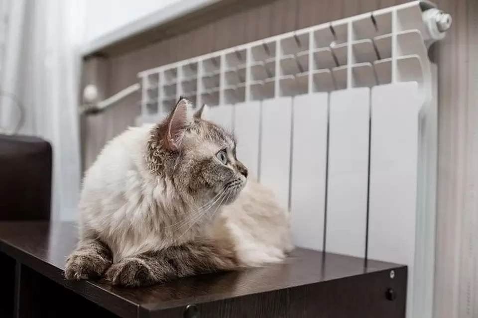Не работают сразу несколько котельных.