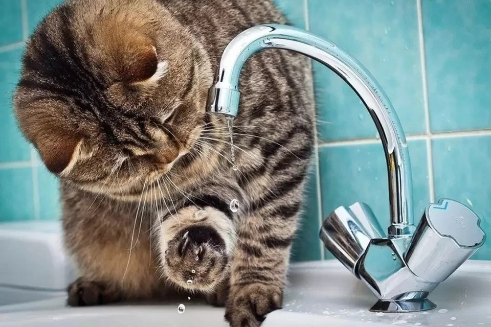 Отключения связаны с ремонтом.