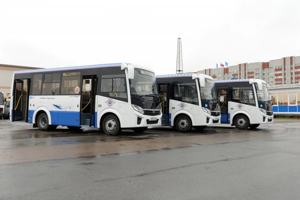 В Новый Уренгой скоро поступят 10 новых автобусов Фото: Муниципальное образование город Новый Уренгой