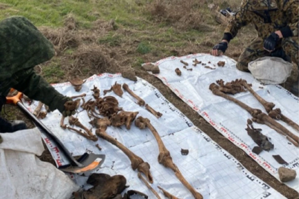 В Ростовской области обнаружили останки санитарки. Фото: "Миус-Фронт"