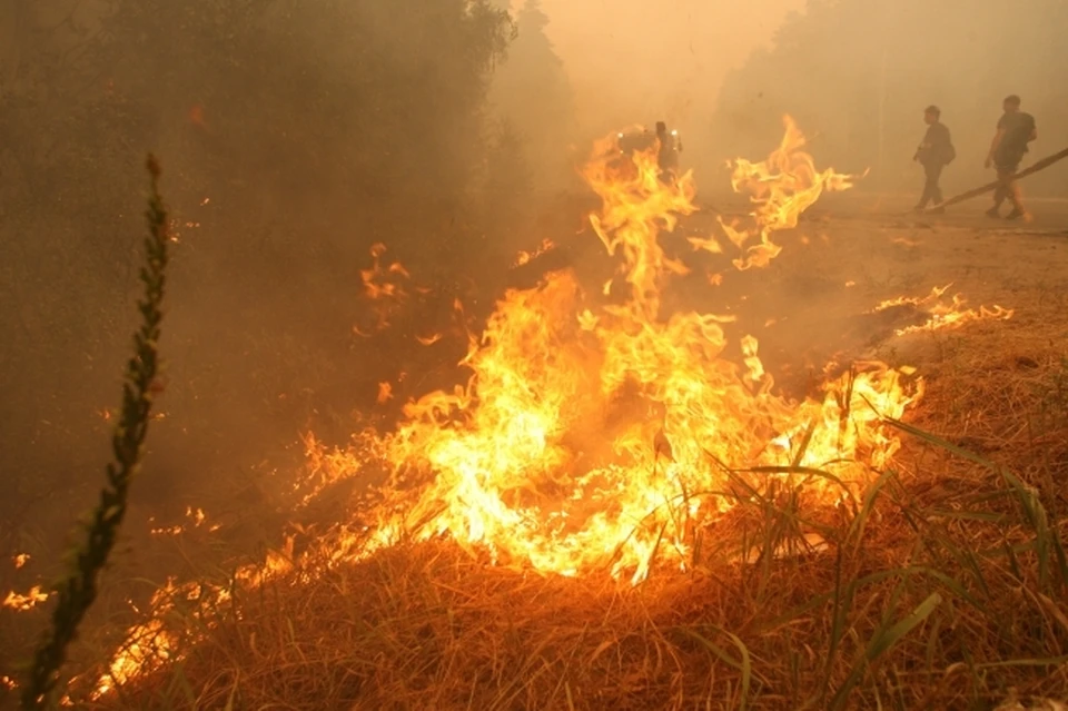 В Омской области в середине осени загорелись торфяники.