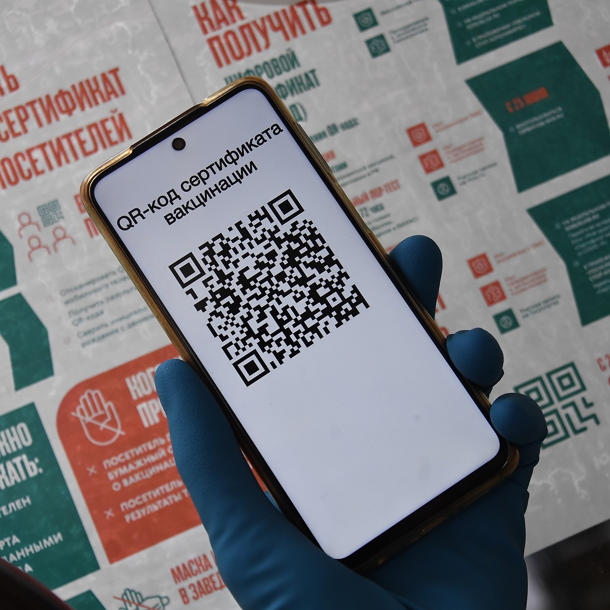 QR-коды для посещения мероприятий в Новосибирске 2021: главное, что о них  нужно знать - KP.RU