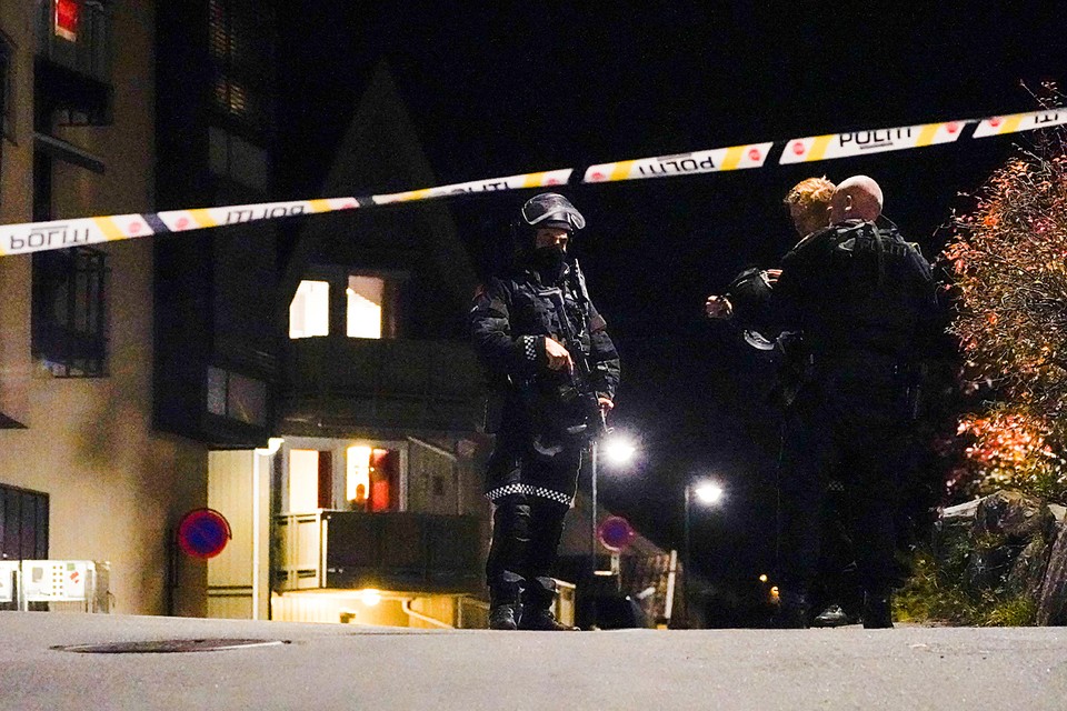 Один из главных вопросов — почему на поимку преступника с луком и, предположительно, большим ножом полиции понадобилось более получаса?