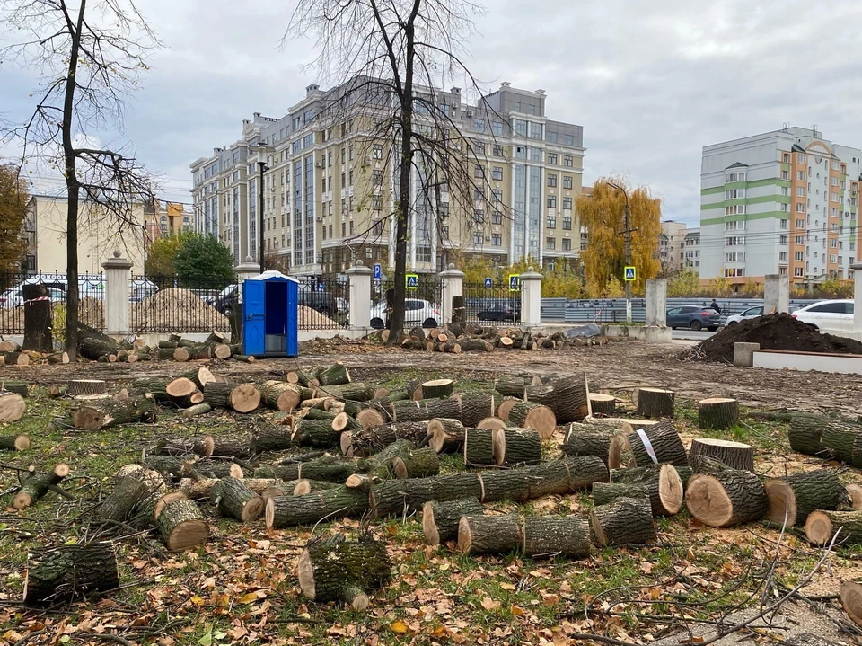 Уже спилено несколько десятков деревьев.