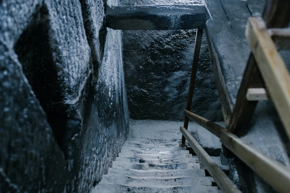 Фото: pexels.com
