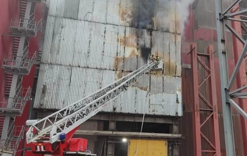 Пламя распространилось на 60 квадратных метров. Фото: ГУ МЧС по Челябинской области.