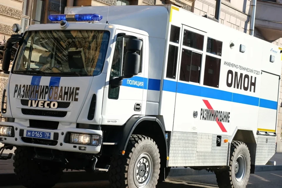 В Петербурге и Ленобласти обнаружили две минометные мины времен войны.