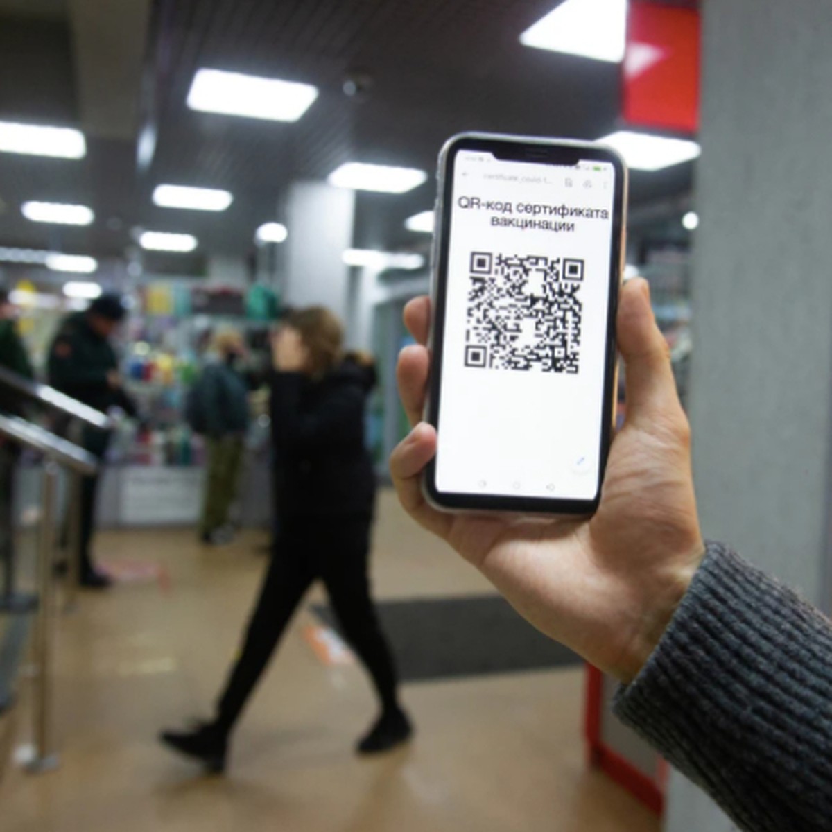 Власти рассказали, будут ли вводить QR-коды в Хабаровске - KP.RU