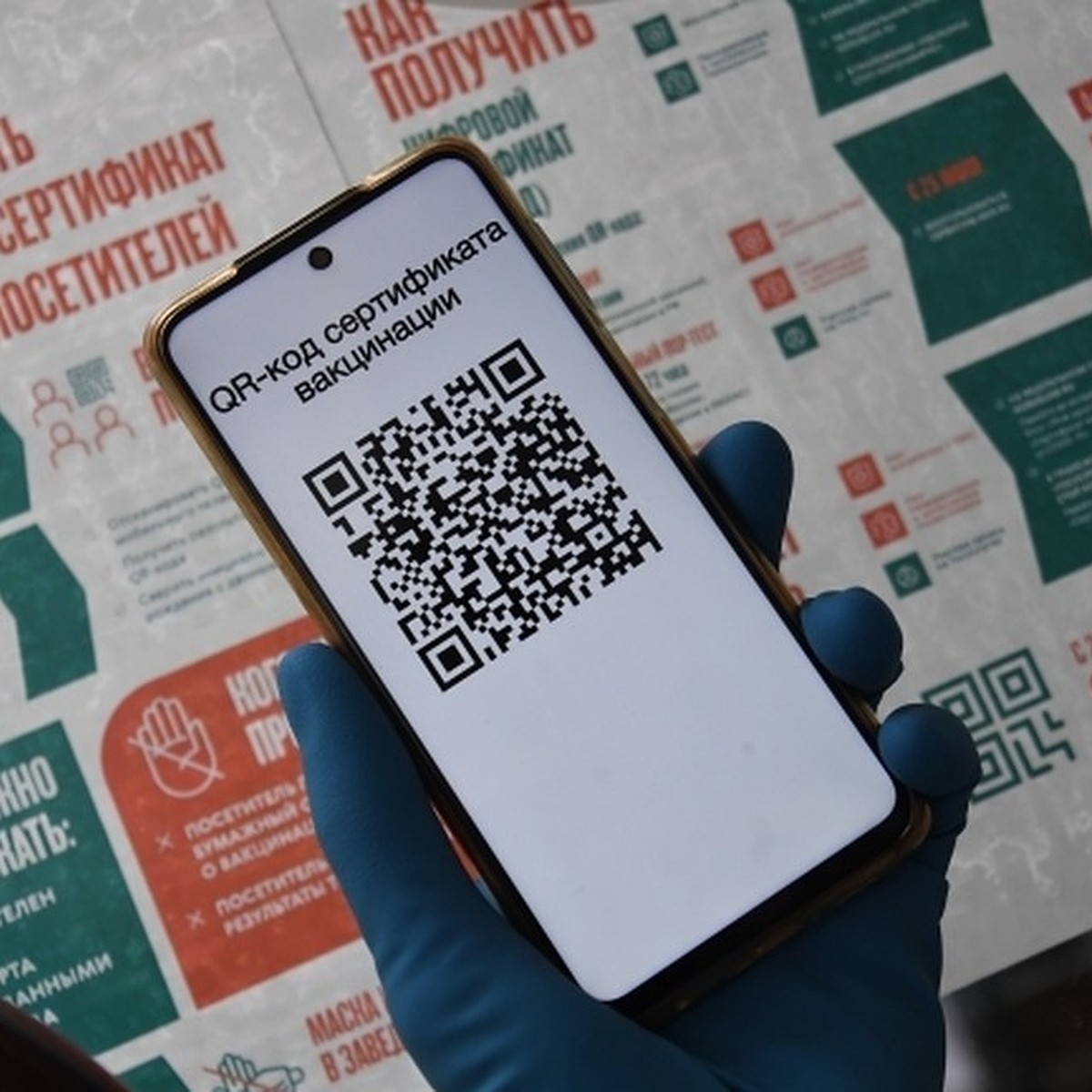 Как получить QR-код: последние новости о коронавирусе в Хабаровске и Хабаровском  крае - KP.RU