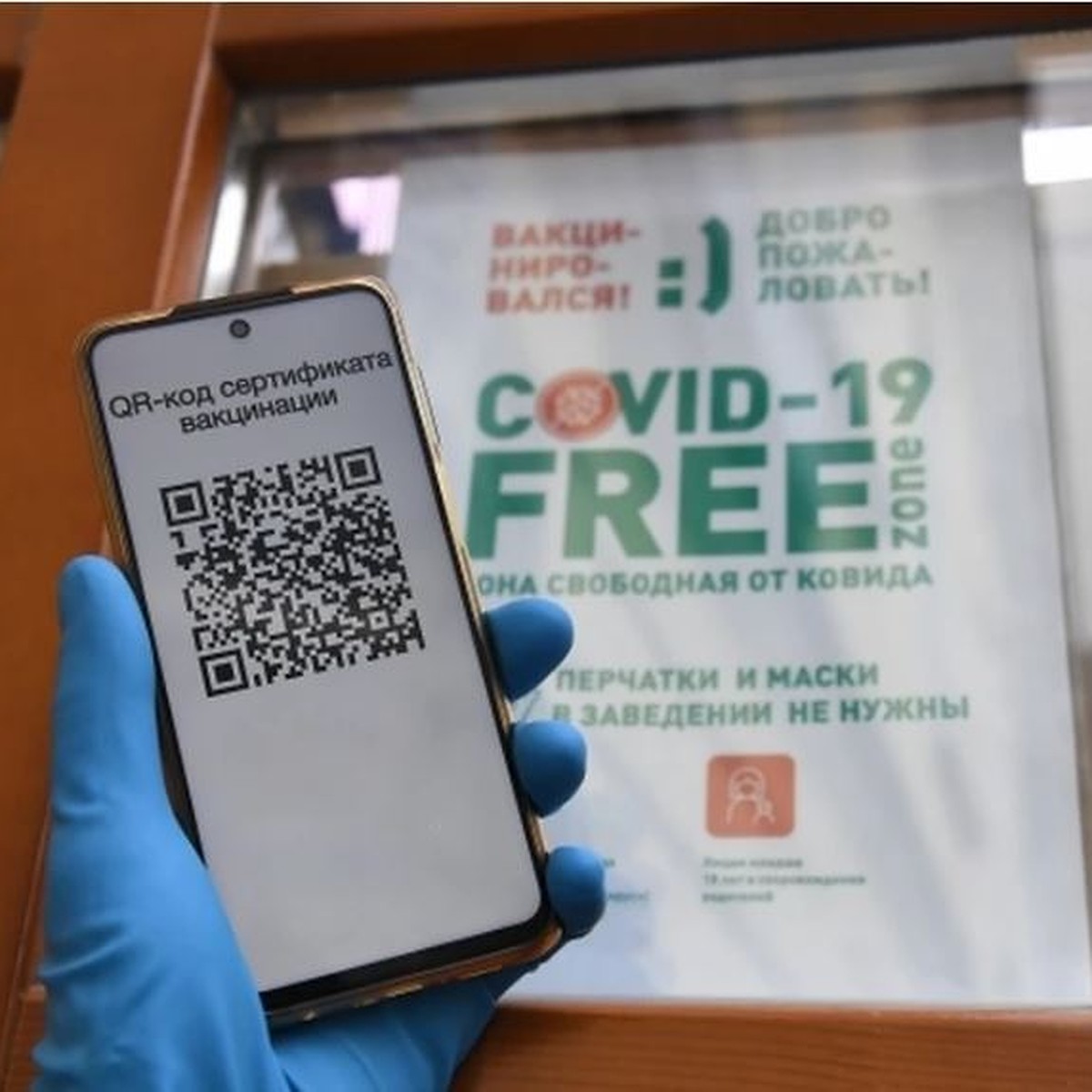 Вход по QR-кодам в крупные торговые центры могут ввести в Иркутской области  с 30 октября - KP.RU