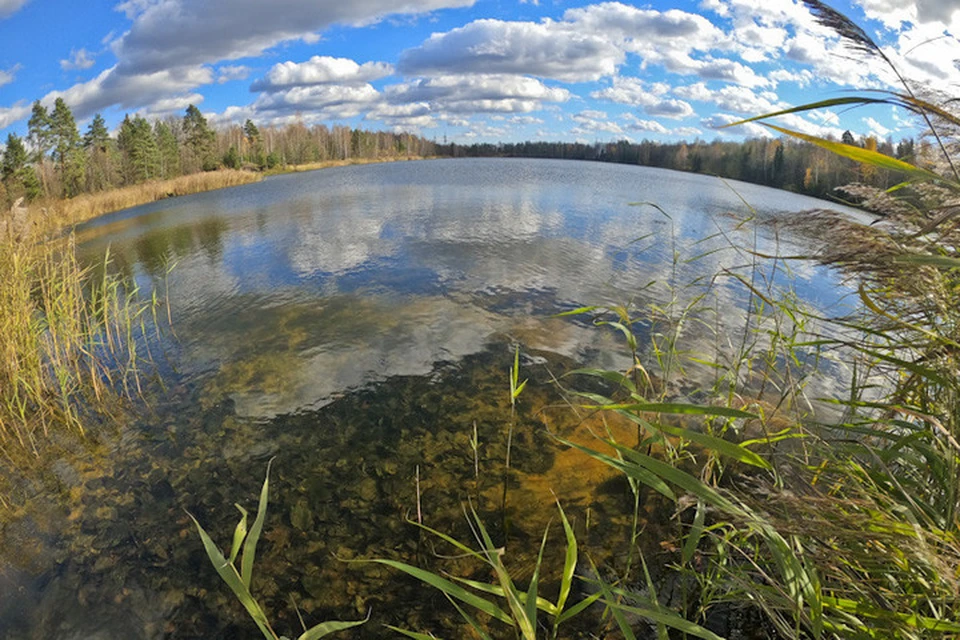 Фото: подводный клуб "СКАТ".