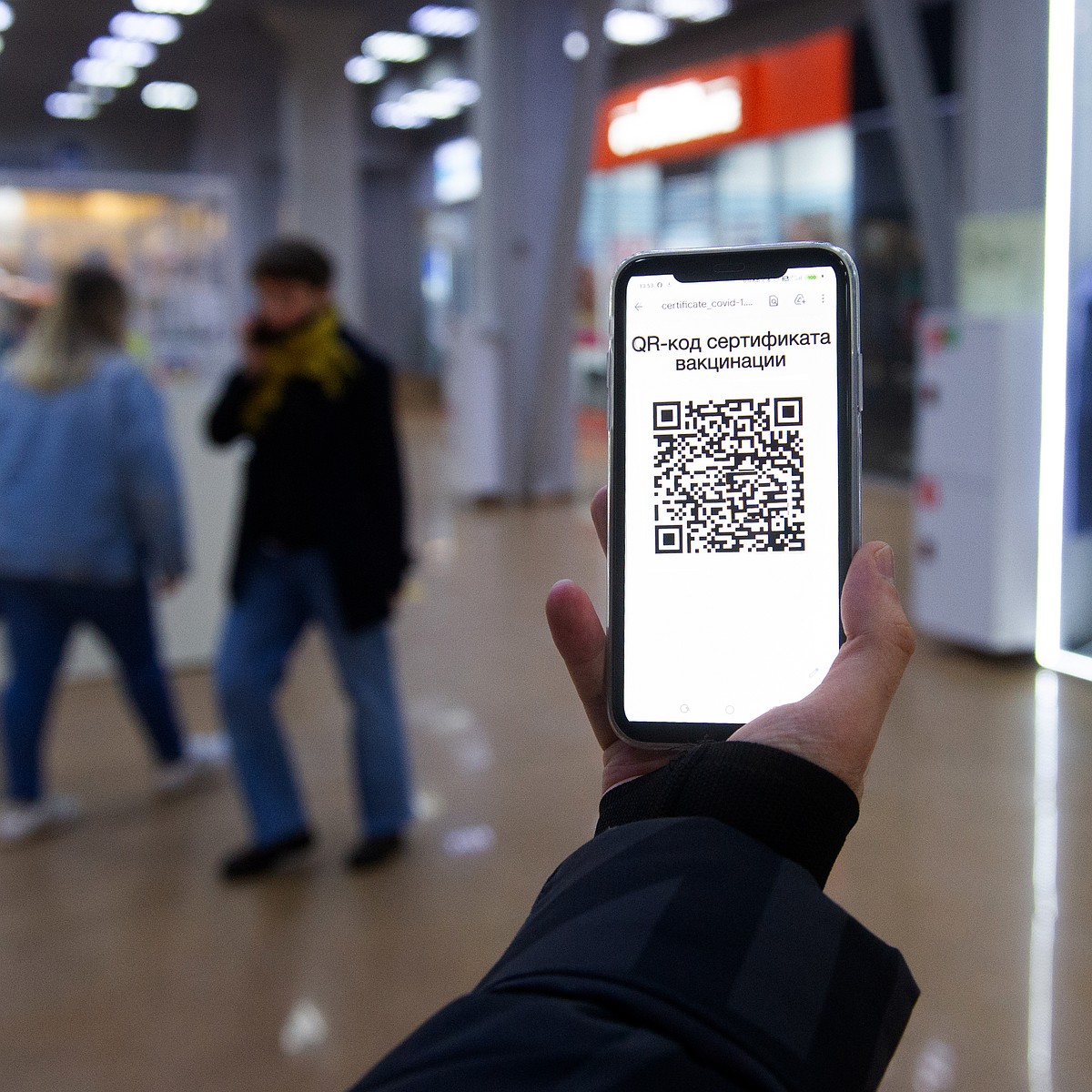 Можно ли в Санкт-Петербурге получить QR-код без регистрации на «Госуслугах»  - KP.RU