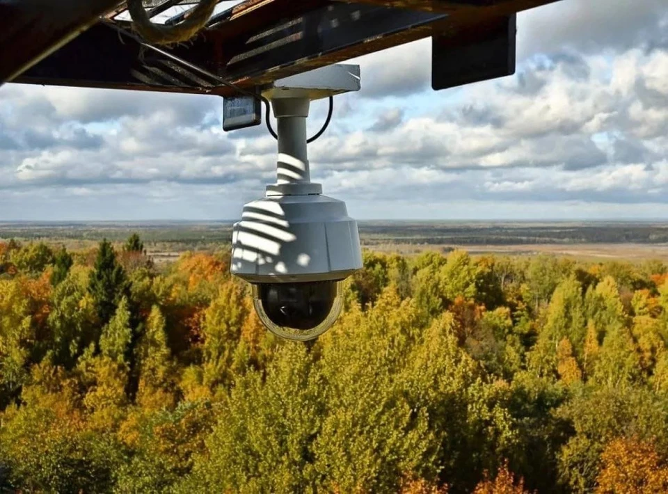 Леса отслеживаются с 48 камер.