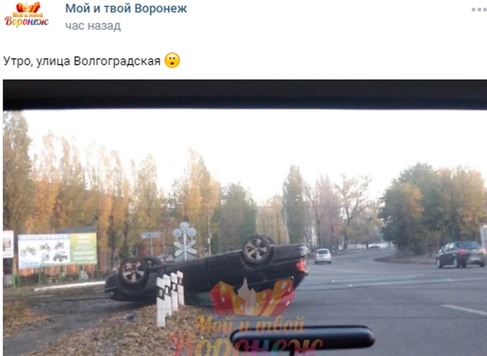 Воронеж 31 августа. Мой твой Воронеж новости