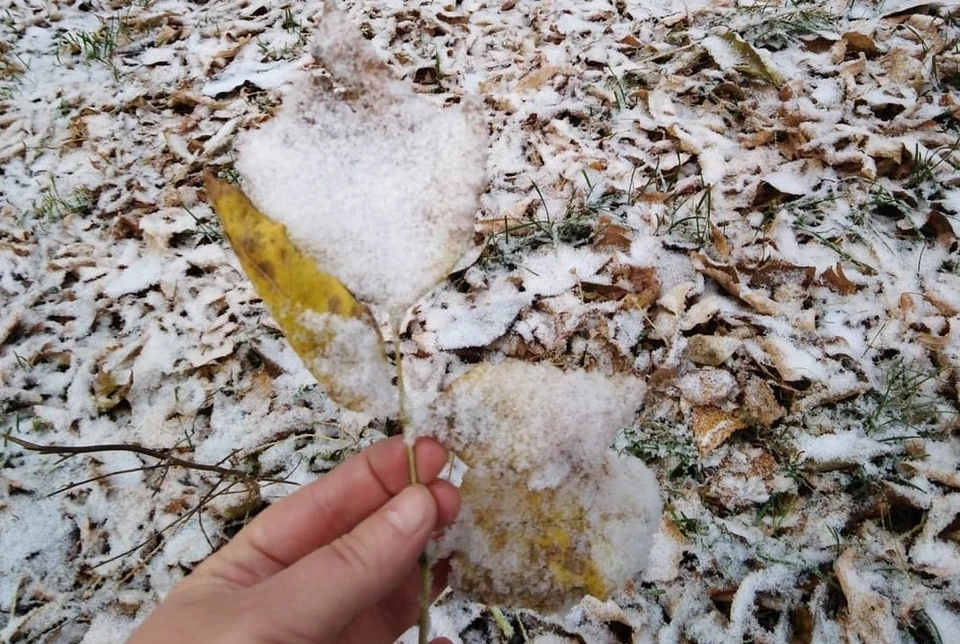 Порно видео голые зимой на улице