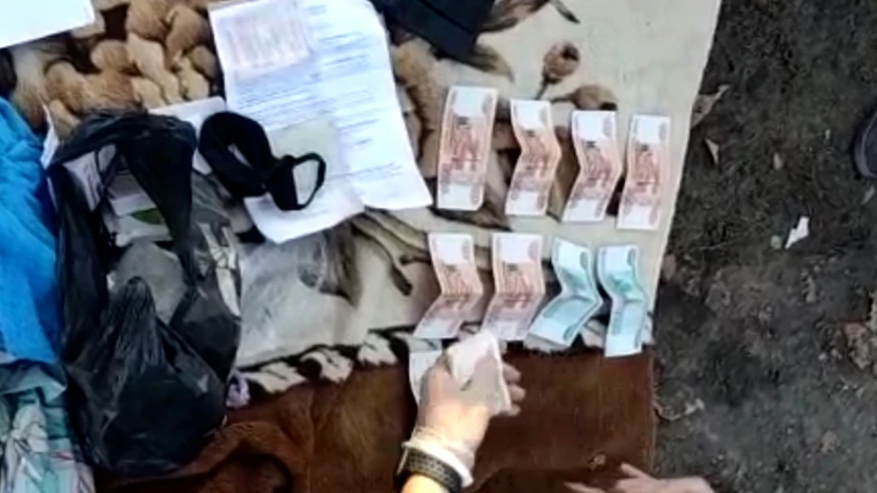 Из 150 тысяч рублей, собранных у наивных соседей, полицейские смогли изъять лишь пятую часть суммы. Фото: ГУ МВД России по Кемеровской области.