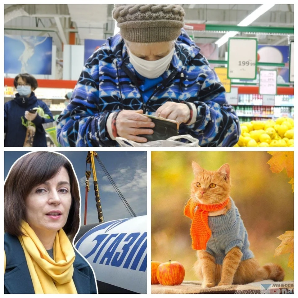 Транссексуалды порно видео онлайн