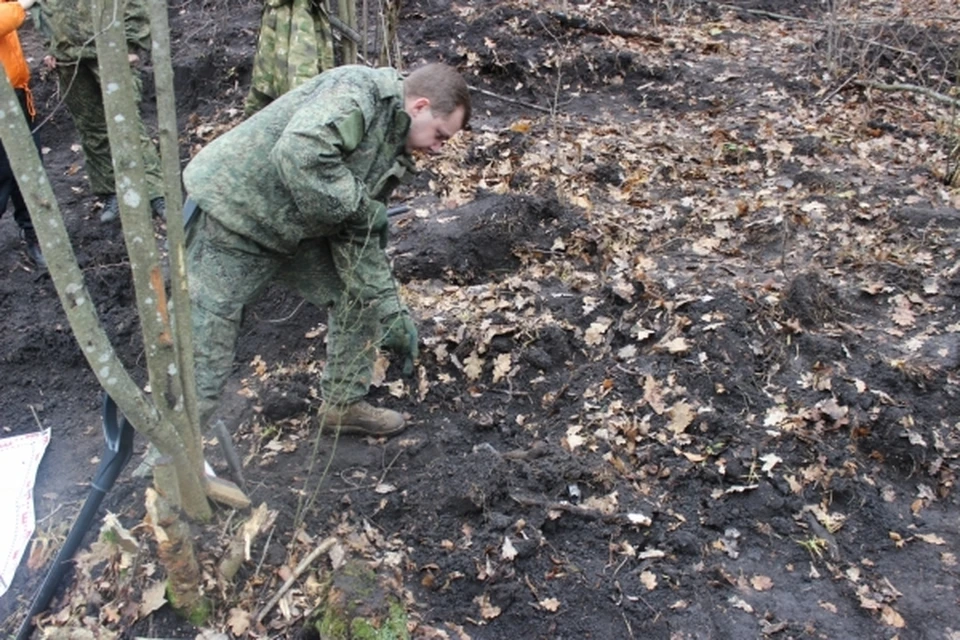 Тело несчастного ребенка нашли в яме в лесу. Фото: СУ СК РФ по Орловской области
