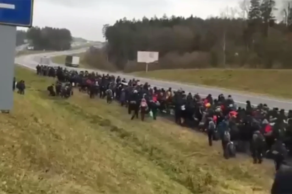 Мигранты, пришедшие к польской границе, заявляют, что хотят в Германию. Фото: кадр из видео.