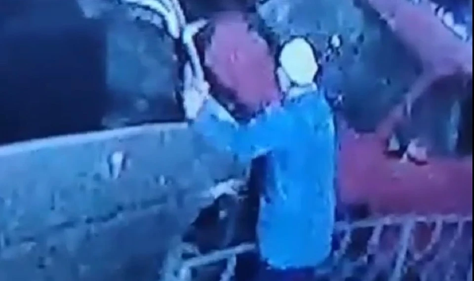 Женщина отламывает зеркало у машины в Белых Росах Скриншот: камера видеонаблюдения