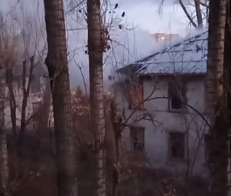 "Клопятник" соседей не радует