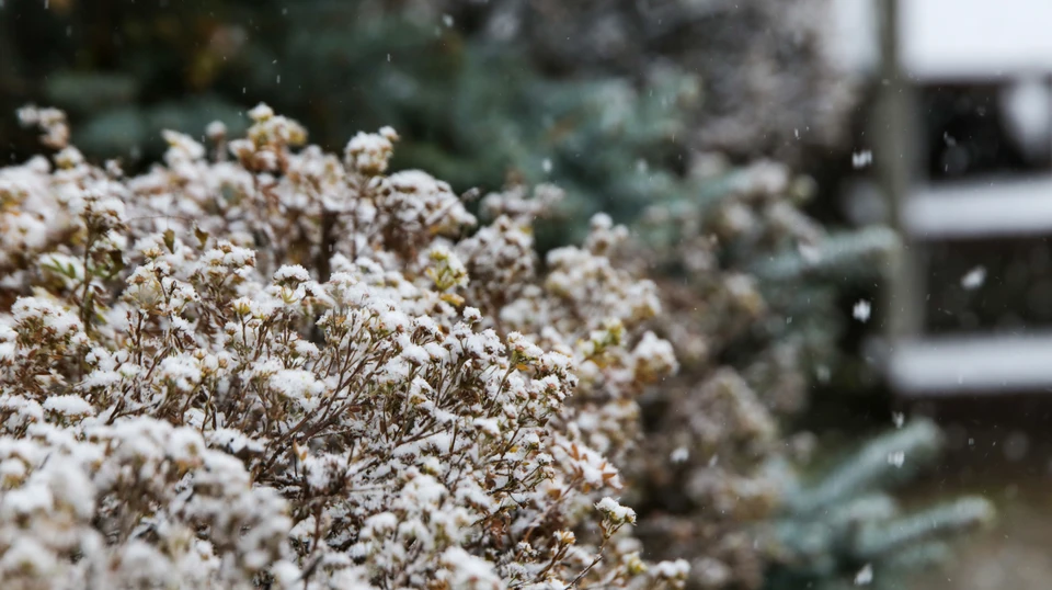 Ожидается небольшой снег. Фото: Сергей Грачев