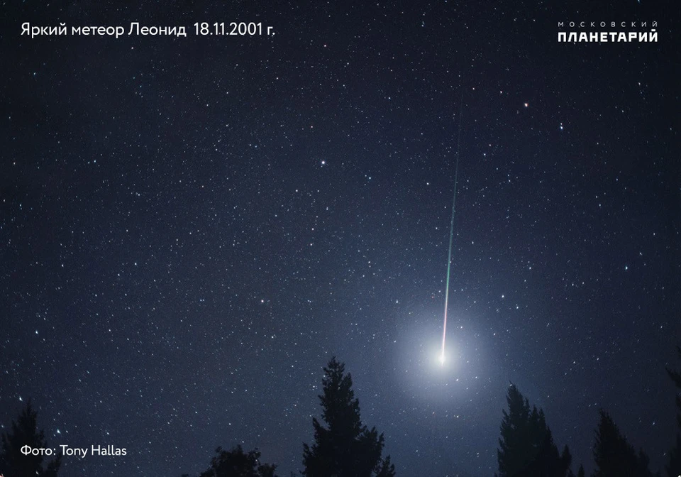 Метеор Леонид в 2001 году. Фото: Tony Hallas. Взято с сайта Московского планетария.