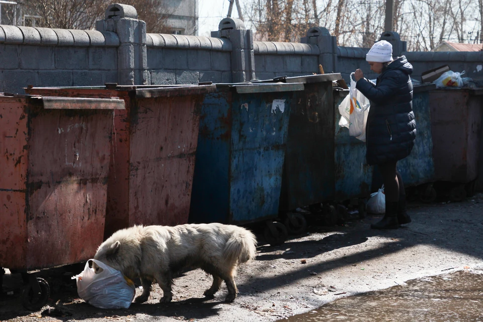 В Новороссийске массовое отравление жидкостью, которую нашли в мусорных баках