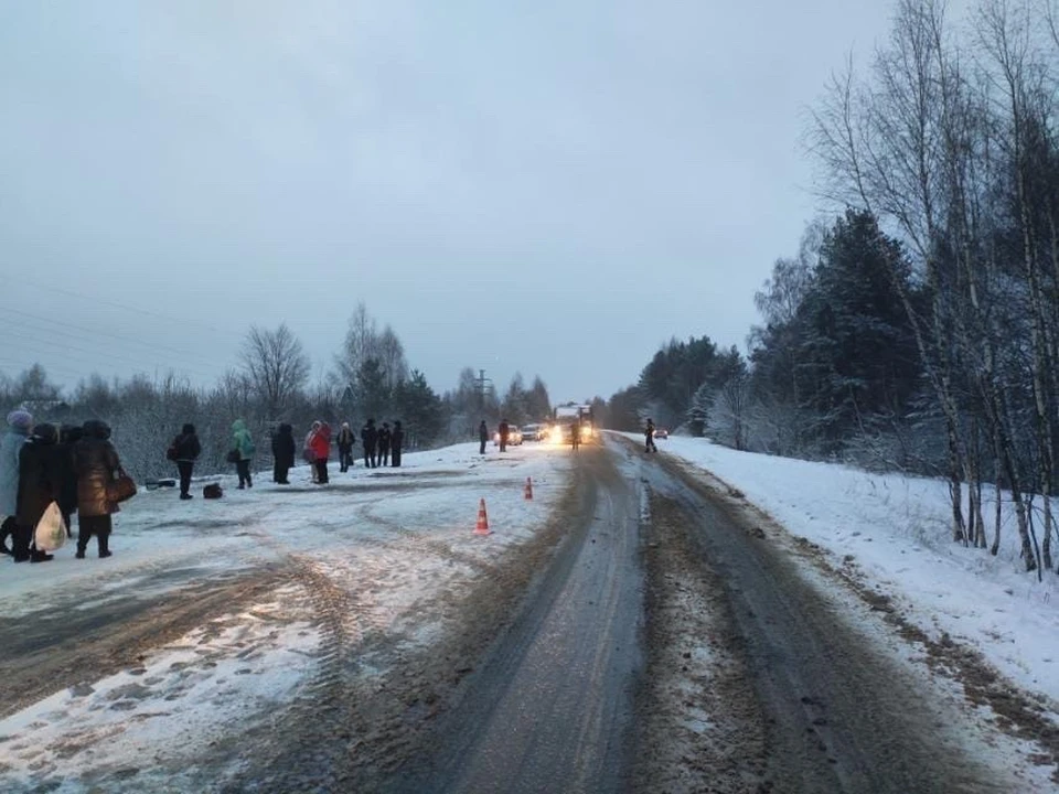 ДТП произошло утром 20 ноября в Балахнинском районе Фото: Фото: ГУ МВД по Нижегородской области