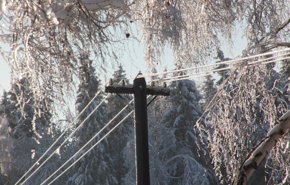 В Приморье из-за ледяного дождя более тысячи человек остались без света.