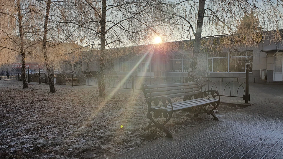Днем 24 ноября в Белгороде ожидается 1-2 градуса мороза. фото: Артем Гребеник.