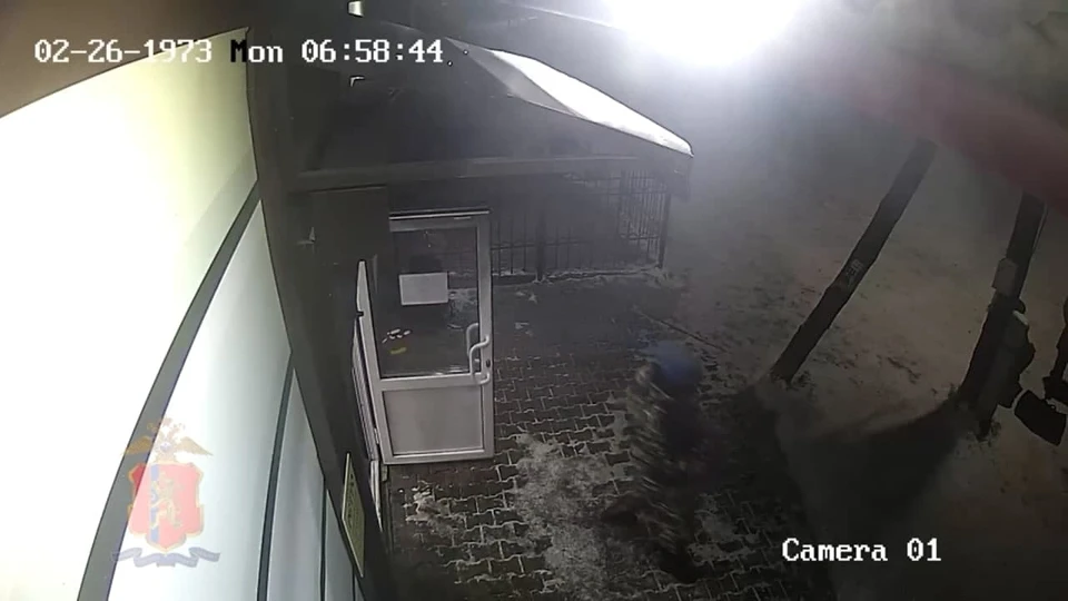 Фото: скриншот из видео МВД по краю