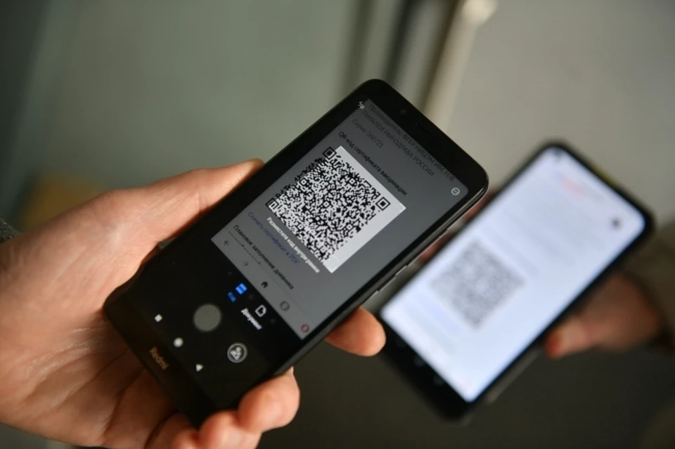 Попасть в ТЦ жители донского региона с некоторого времени могут только по QR-кодам.