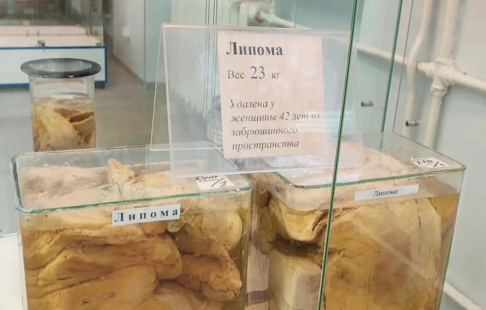 Музей кафедры паталогической анатомии ПИМУ откроется после ремонта в Нижнем Новгороде Фото: @nikolaykaryakin