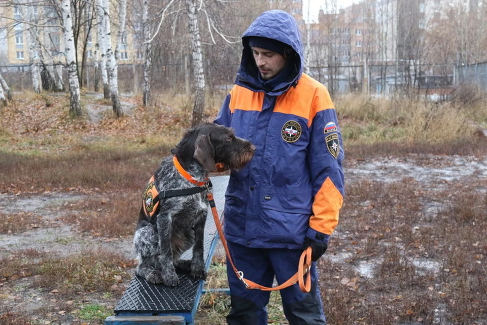 Главное в своей профессии мужчина называет тесную связи с собакой. Фото: пресс-служба МЧС Татарстана