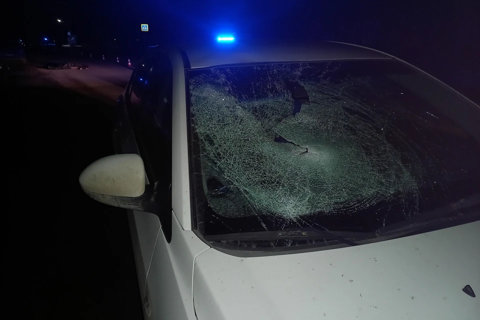 Водитель не заметила мужчину, переходящего дорогу Фото: ГИБДД по Екатеринбургу