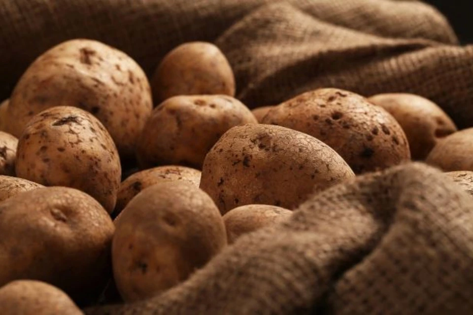 В Минсельхозпроде рассказали, зачем Беларусь покупает картофель в Египте. Фото: Freepik