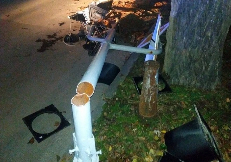 В результате сильного ветра дерево рухнуло прямо на светофор. Фото: пресс-служба МЧС по РК